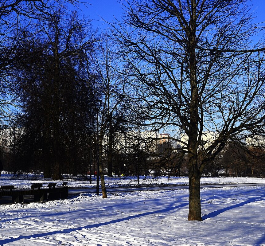 Конец февраля. - Василий Палий