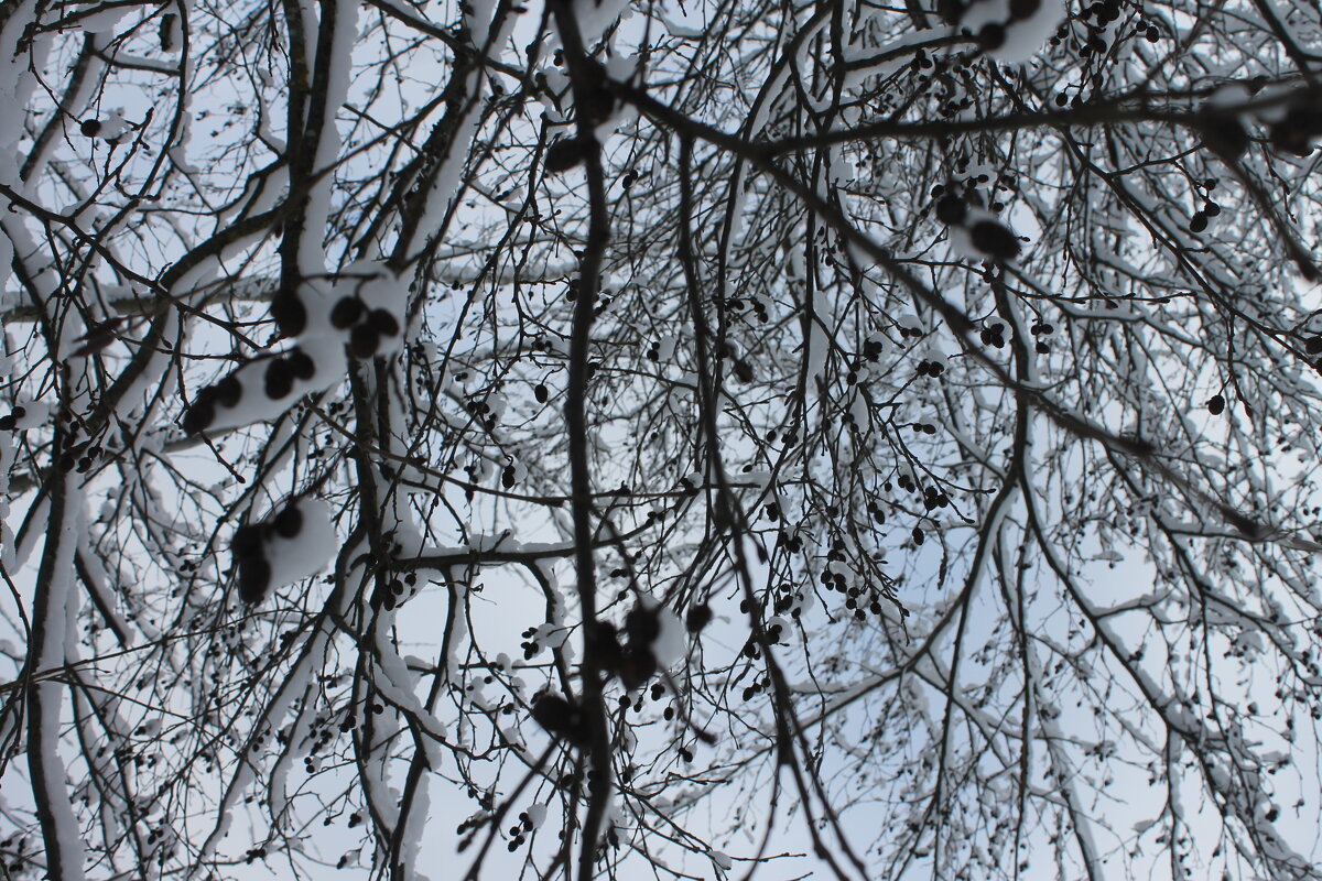 Без названия - Любовь Иванова