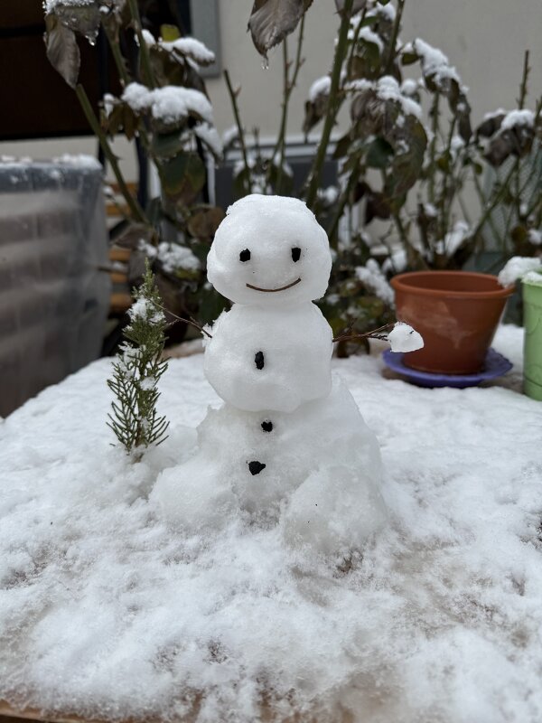 Снеговик - Валентина .