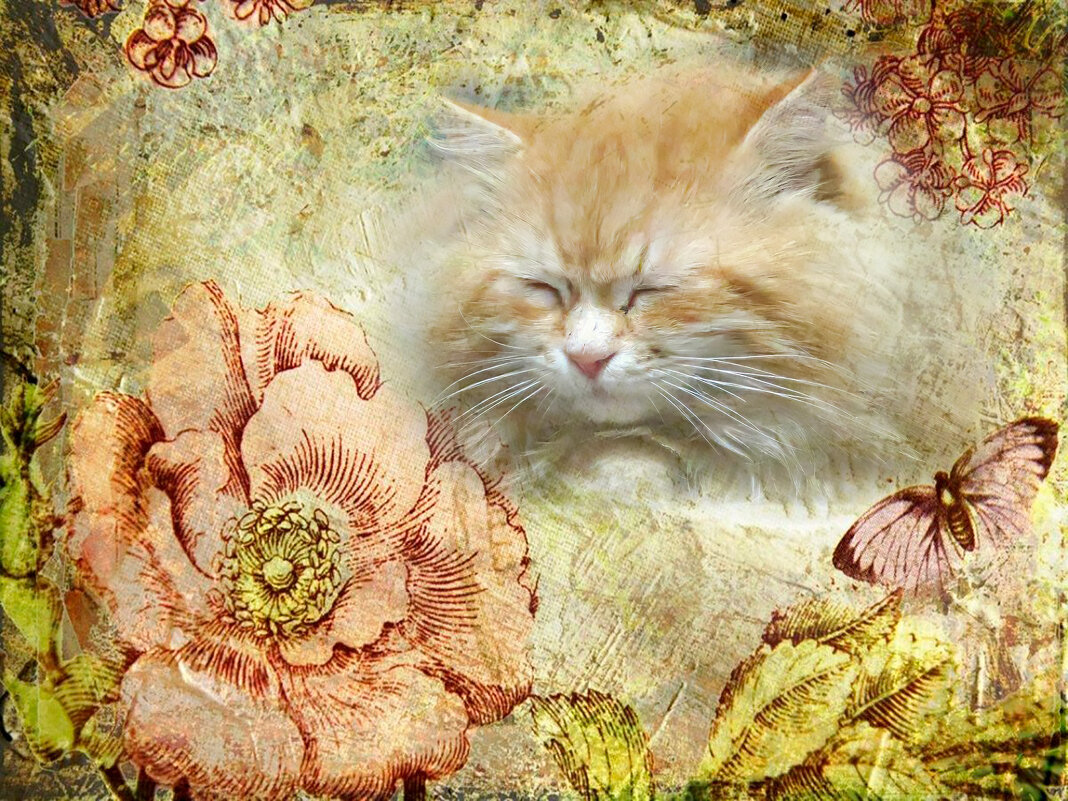 Винтаж - Валерий Ткаченко