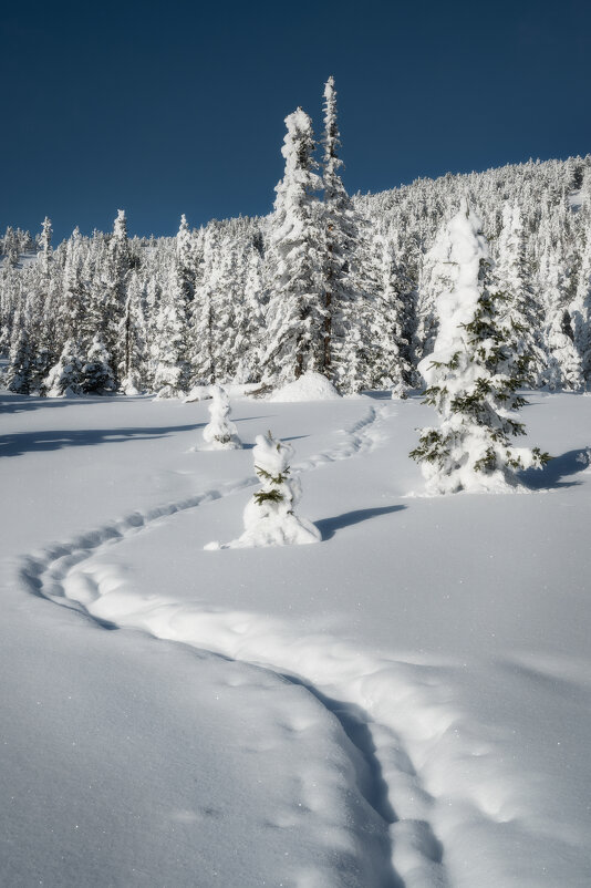 * - Александр Иванов