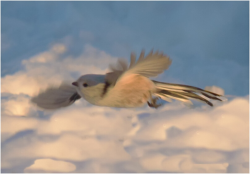 Весне навстречу - Валентин Котляров