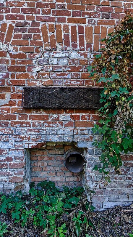 стена - Саша Милашкин