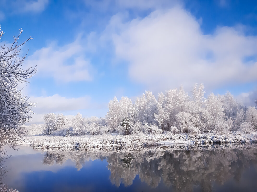 Красота зимы - Юлия Закопайло