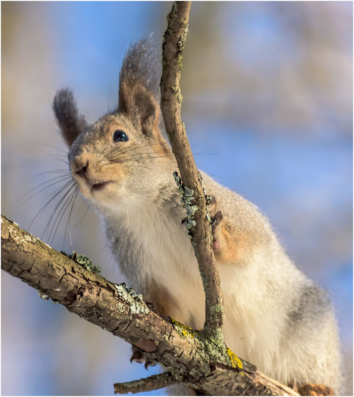 В дозоре - Валентин Котляров В дозоре - Валентин Котляров