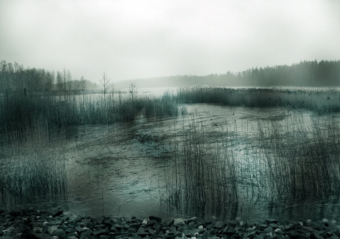 Февраль в Суоми... - Lilly 