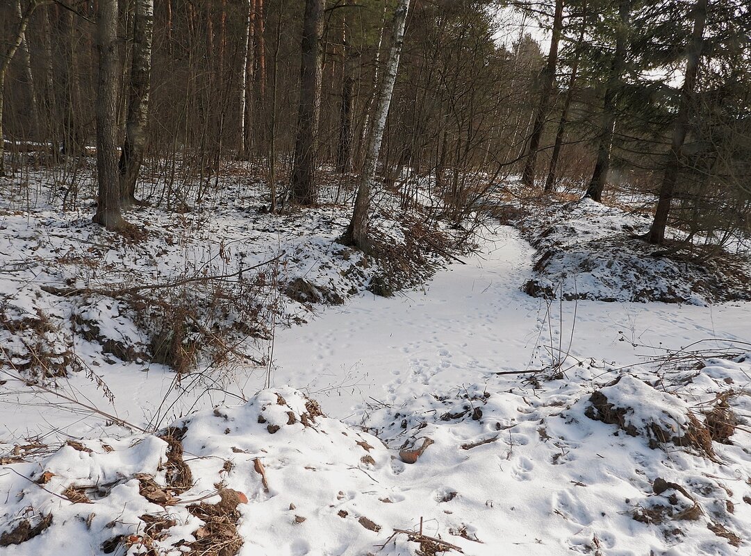 Загорянка. Зима - Леонид leo Загорянка. Зима - Леонид leo