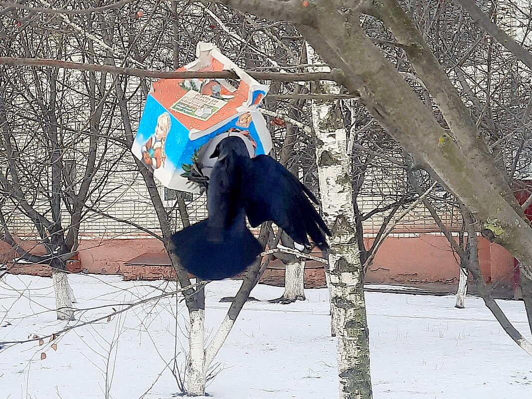 На абордаж - Сеня Белгородский