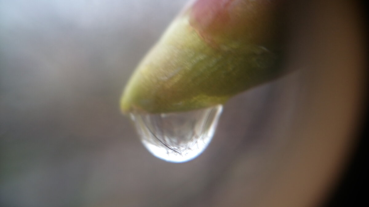 ,,, - Сергей Тимоновский