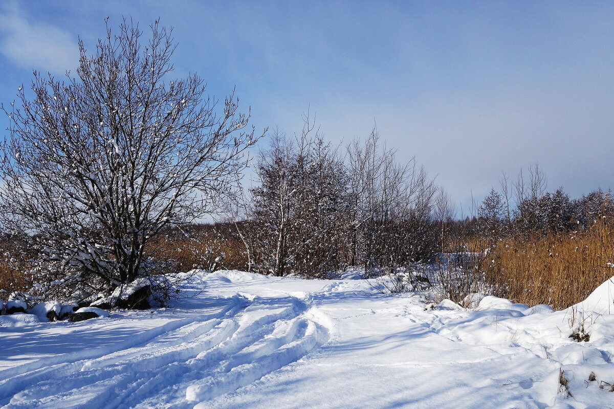 В окрестностях Калининграда - Рита Симонова В окрестностях Калининграда - Рита Симонова