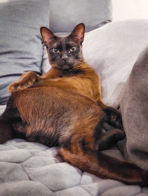 Грация)) - Оксана Н.