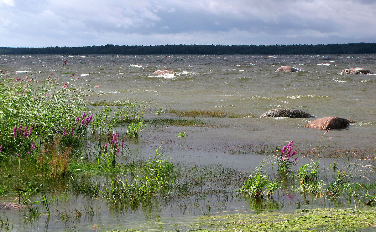 Пролив Бьеркезунд - Александр Ильчевский Пролив Бьеркезунд - Александр Ильчевский