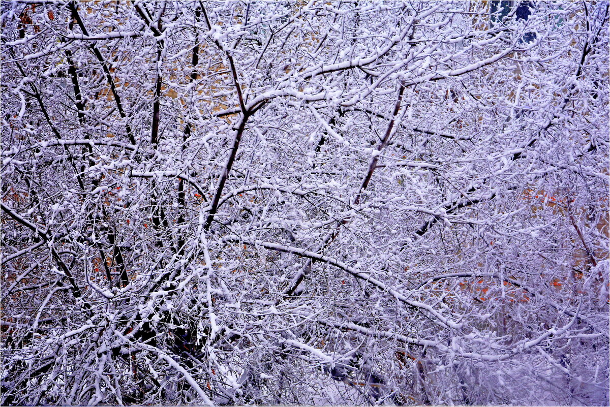 ЗИМА ЗА ОКНОМ - Юрий Владимирович 34 ЗИМА ЗА ОКНОМ - Юрий Владимирович 34