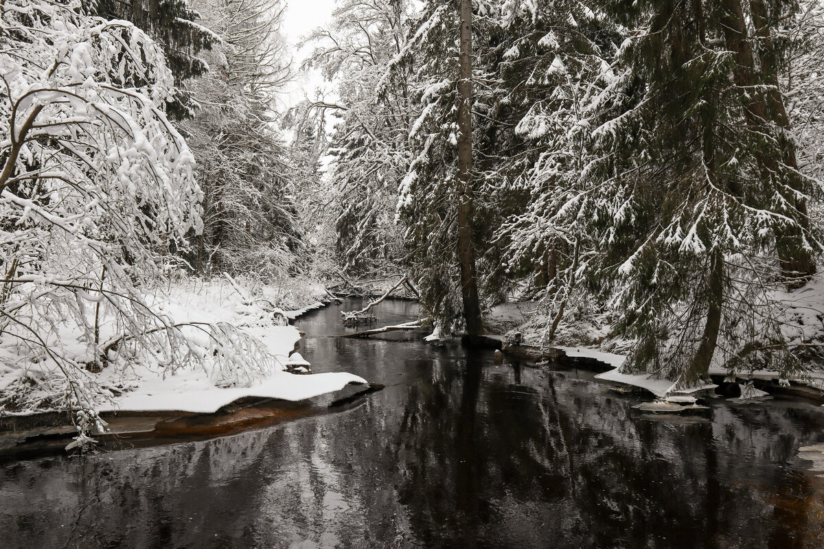 Река Охта - skijumper Иванов Река Охта - skijumper Иванов