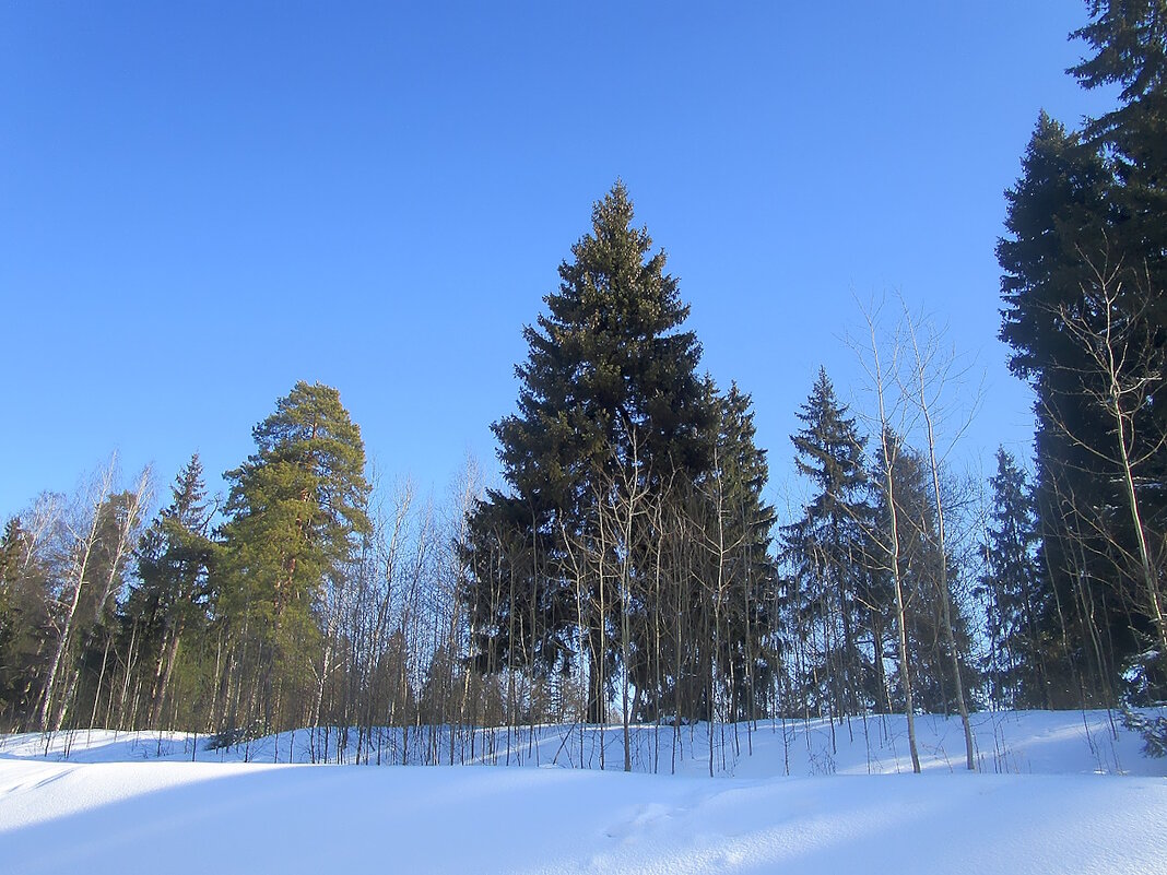 Дорожные зарисовки - Ольга Довженко Дорожные зарисовки - Ольга Довженко