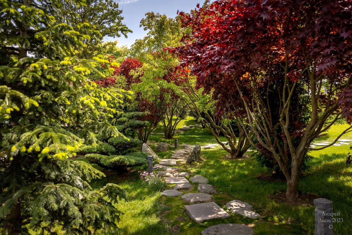 Парк Галицкого. Краснодар - Андрей Lyz