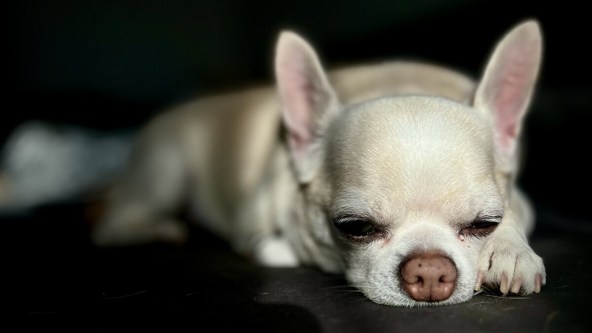 В обеденный перерыв - Юрий Глушков В обеденный перерыв - Юрий Глушков