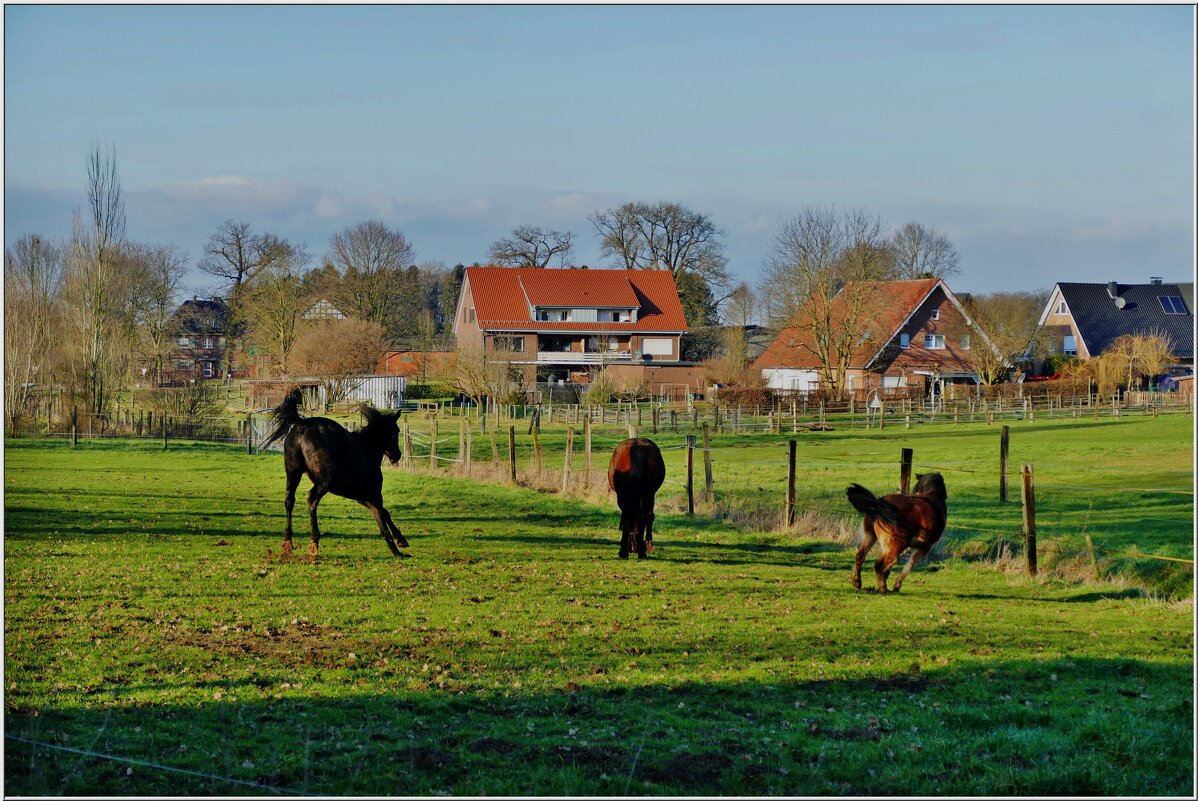 ПАСТОРАЛЬ... - Elvira E. ПАСТОРАЛЬ... - Elvira E.