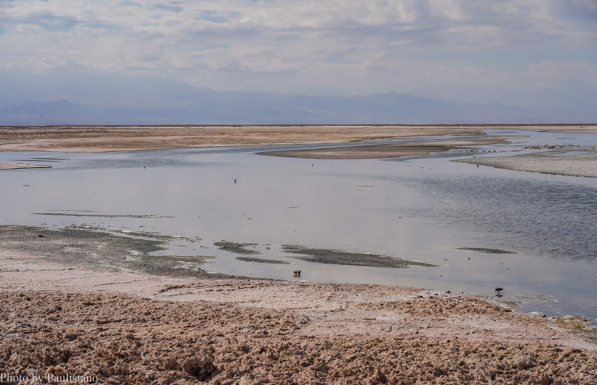 В краю солёных озёр... - Владимир Жданов