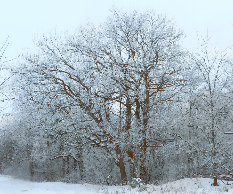 * - Лера * - Лера