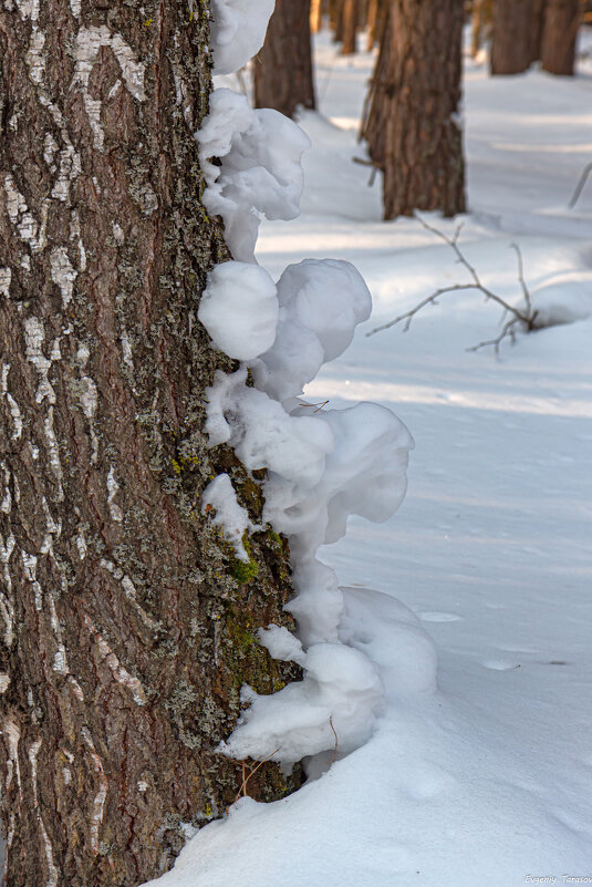 Зимние игрушки - Евгений Тарасов 