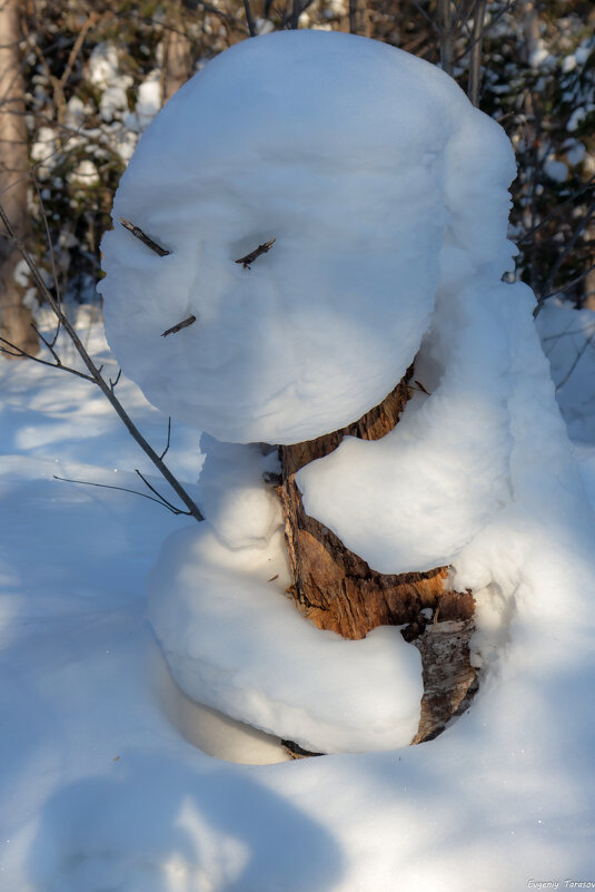 Пришелец - Евгений Тарасов 
