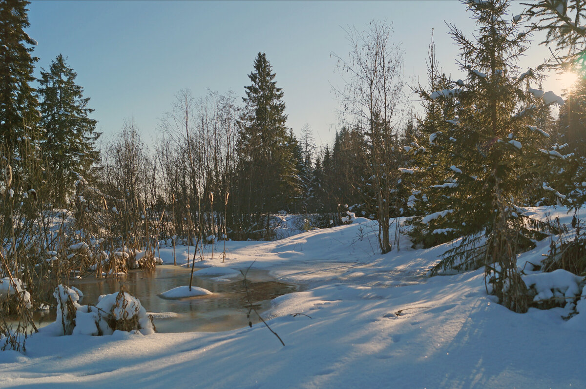 Зимний ручей - Сергей Ц Зимний ручей - Сергей Ц