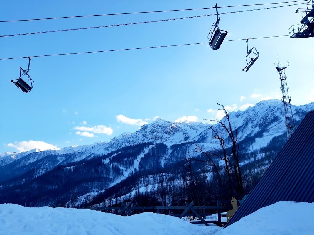 Роза хутор - Tata Wolf