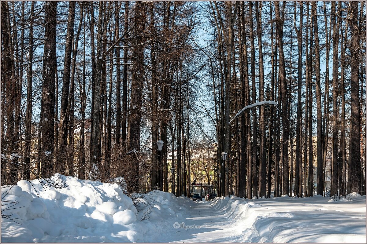 После метелей... - Aquarius - Сергей После метелей... - Aquarius - Сергей
