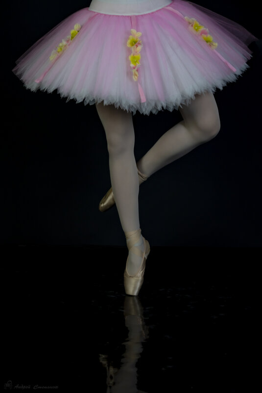 Балет - Андрей + Ирина Степановы