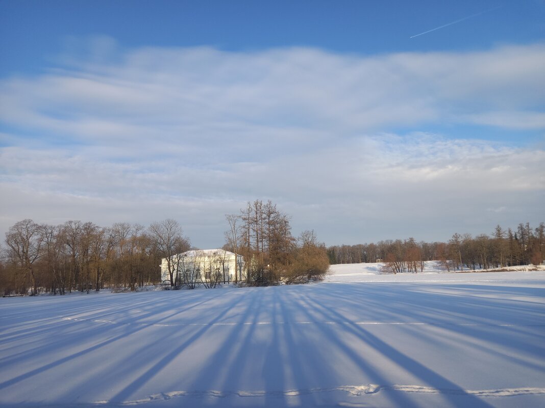 Зима - Сапсан 