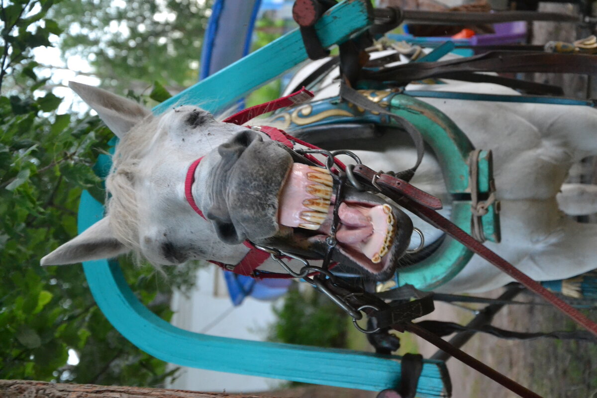 "Очаровашка" - Надежда 