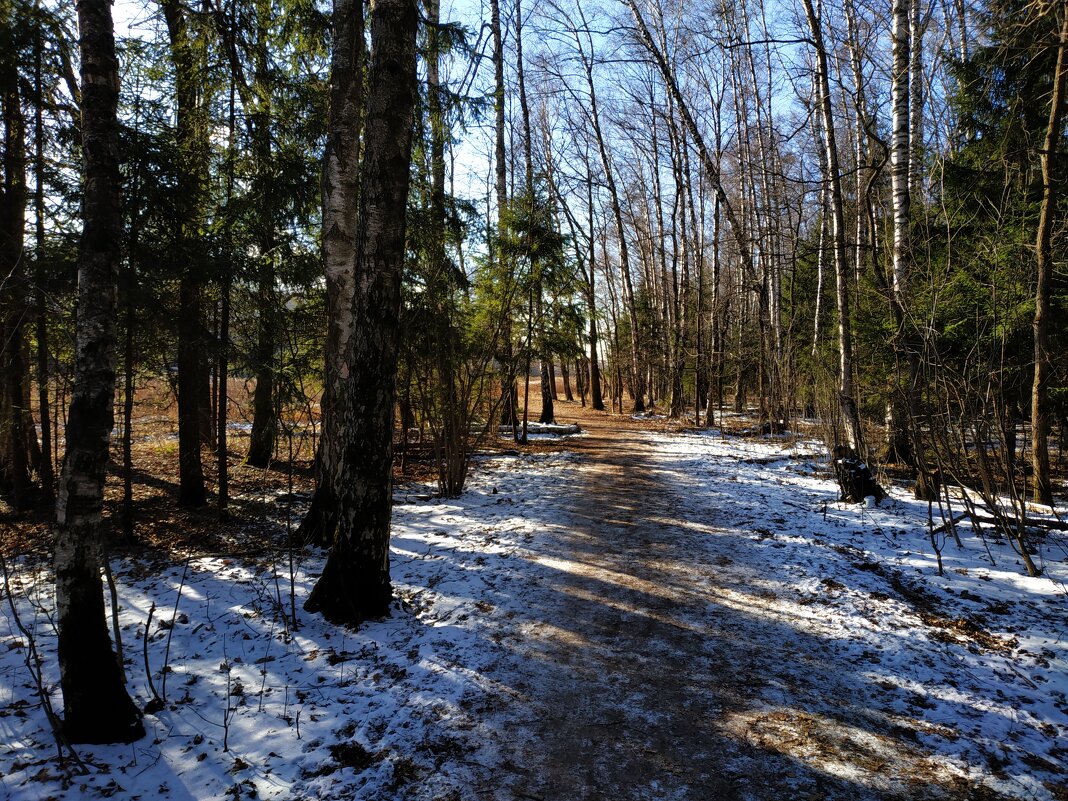 Несостоявшаяся зима в Лосином острове - Андрей Лукьянов Несостоявшаяся зима в Лосином острове - Андрей Лукьянов