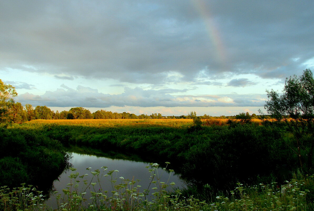МАКУШКА ЛЕТА. - Татьяна Касьяненко МАКУШКА ЛЕТА. - Татьяна Касьяненко