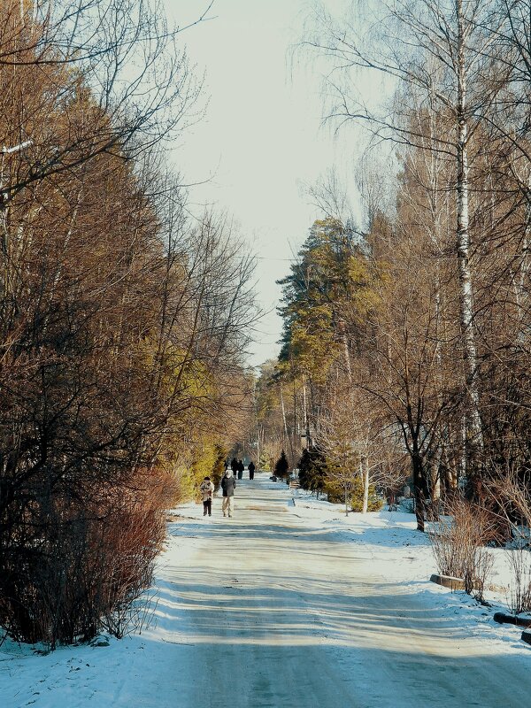 Загорянка - Леонид leo