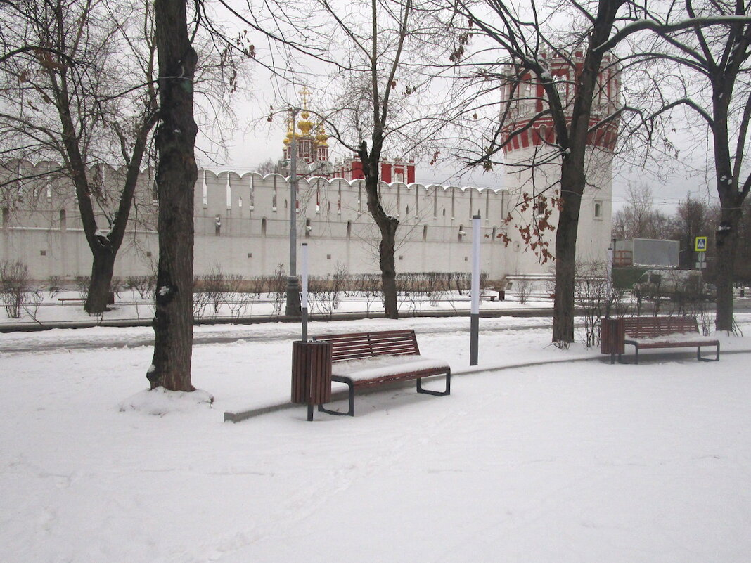У стен Новодевичьего монастыря в Москве. - Ольга Довженко