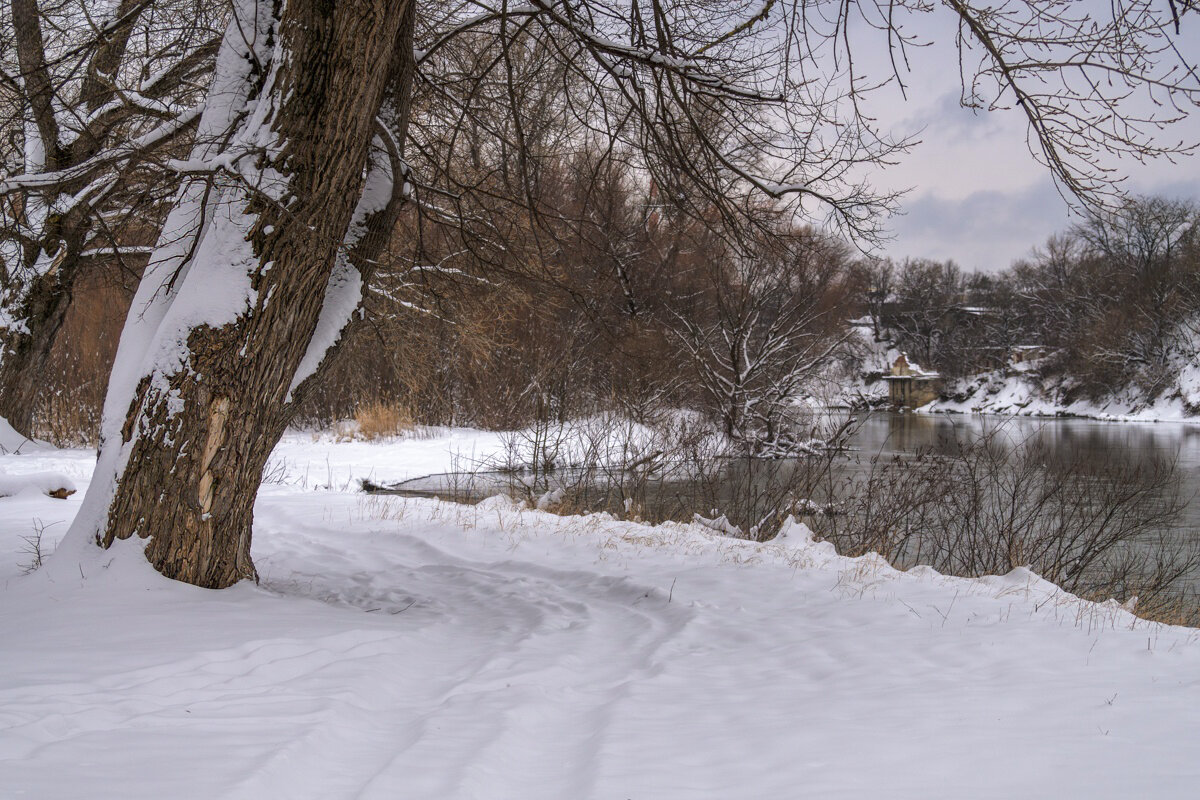Прогулка в зимний день - Игорь Сикорский Прогулка в зимний день - Игорь Сикорский