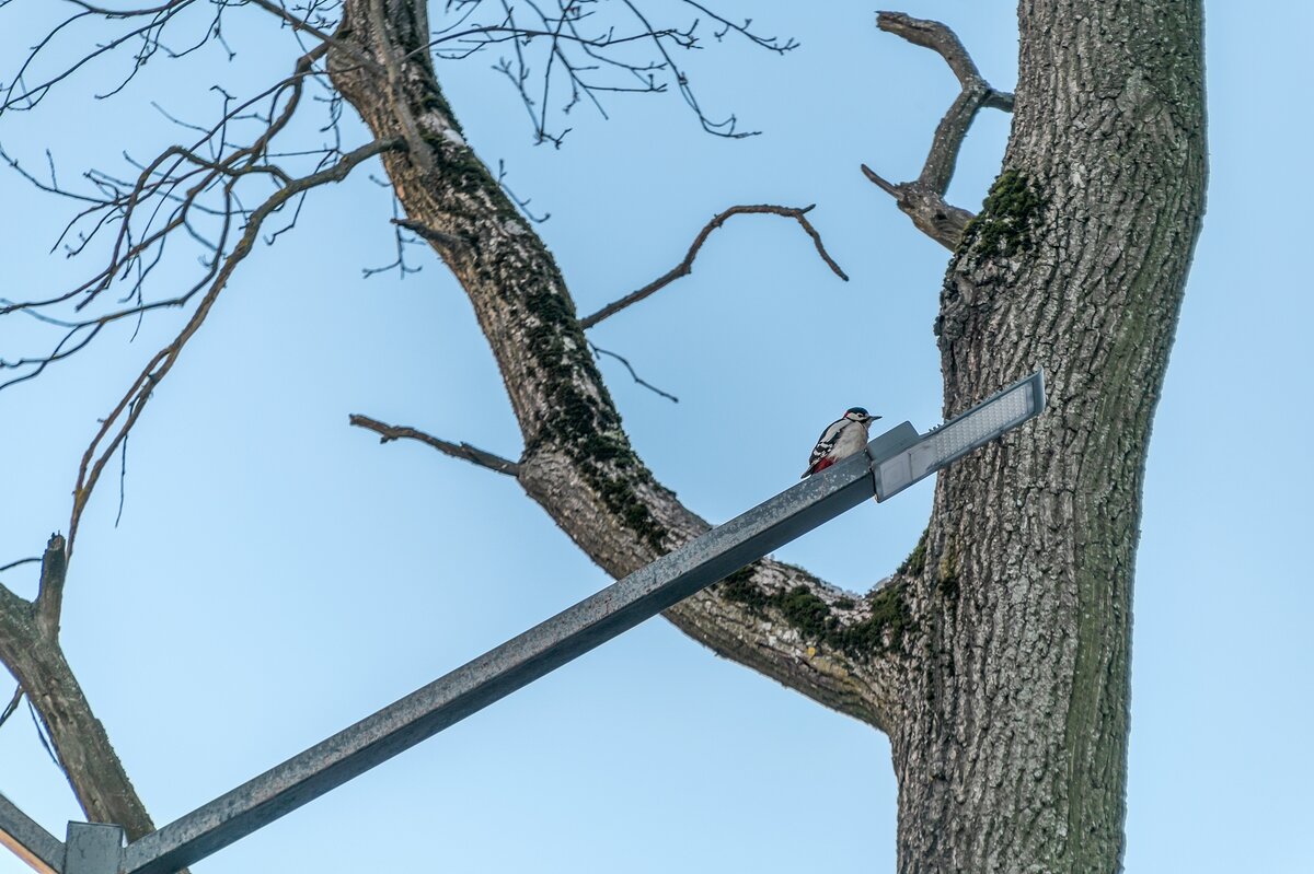 Электромонтера вызывали? - Валерий Иванович Электромонтера вызывали? - Валерий Иванович