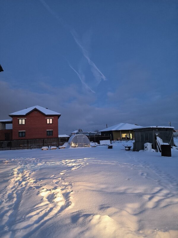 Зимние сумерки. - Ольга 