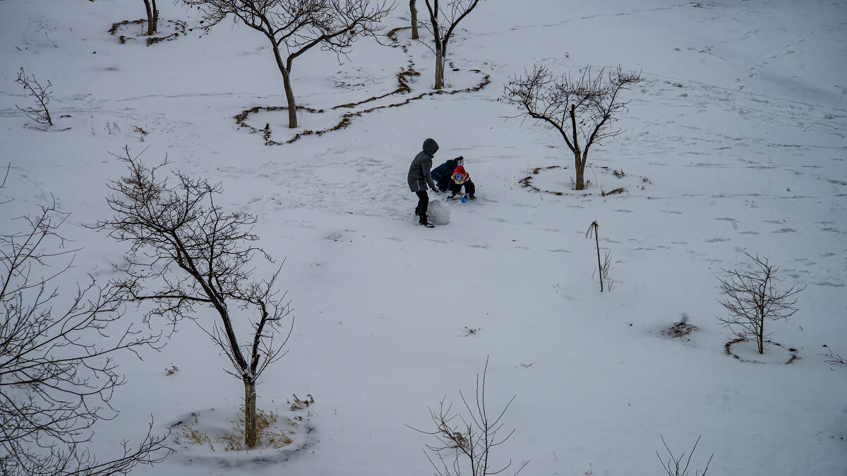 Зима - Анатолий Чикчирный Зима - Анатолий Чикчирный
