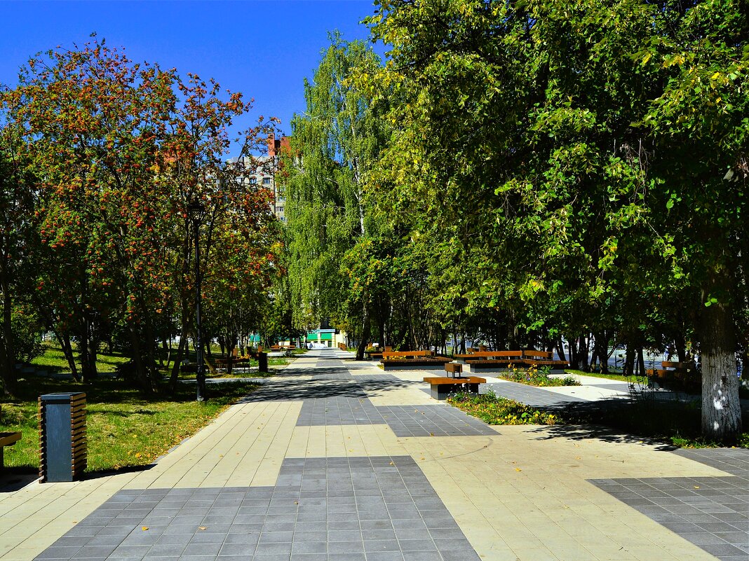 Чебоксары. Уголок для отдыха в сквере им. Максима Горького. - Пётр Чернега Чебоксары. Уголок для отдыха в сквере им. Максима Горького. - Пётр Чернега