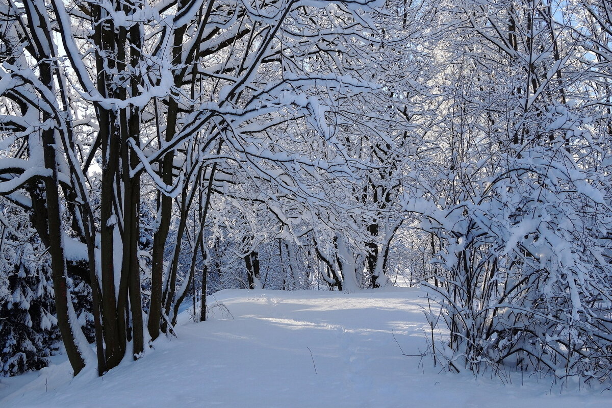 Февраль - Рита Симонова Февраль - Рита Симонова