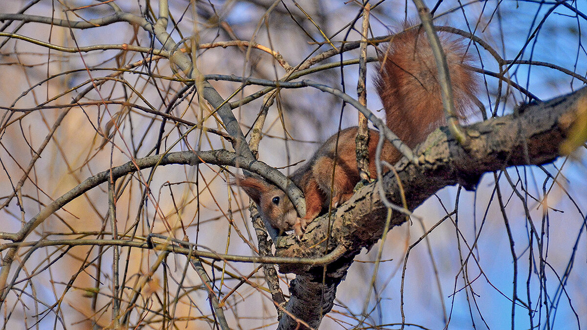 Как здесь не запутаться? - Alexandеr P