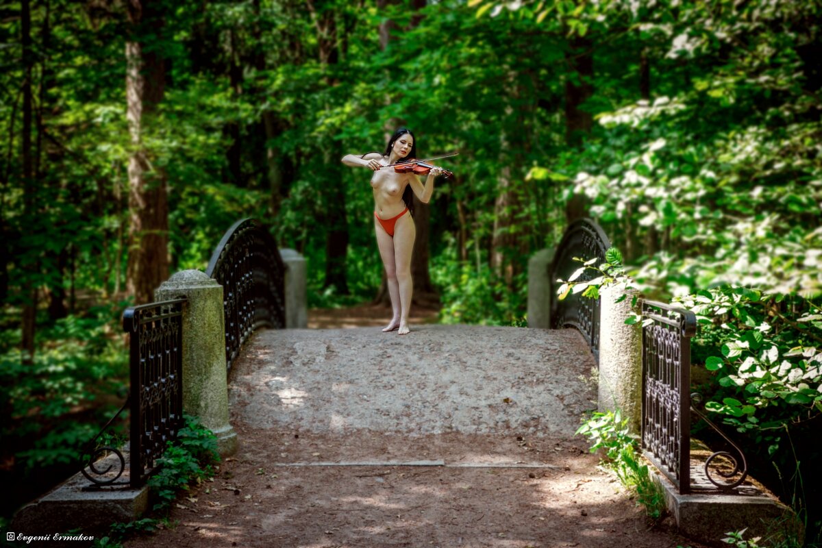 Сонеты - Евгений Ермаков