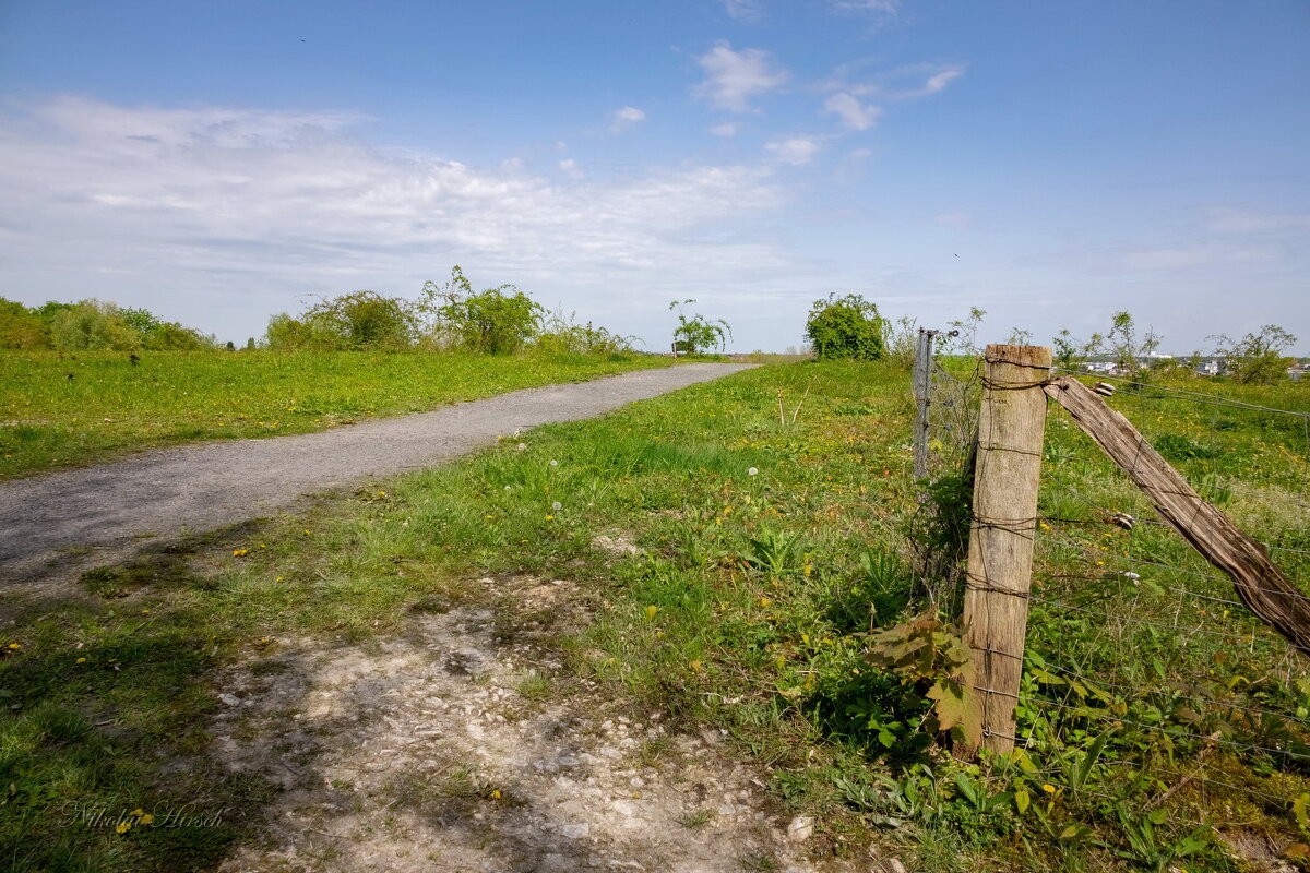 Путь наверх... - Николай Гирш