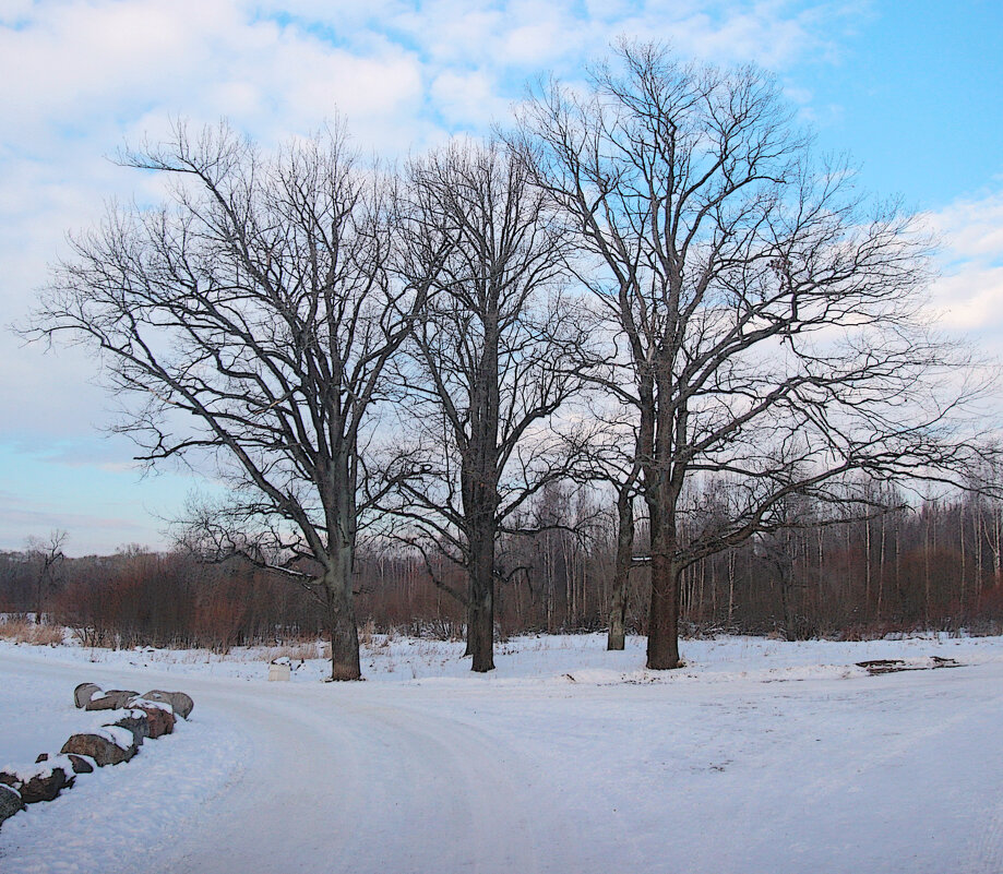 *** - Сергей Григорьев