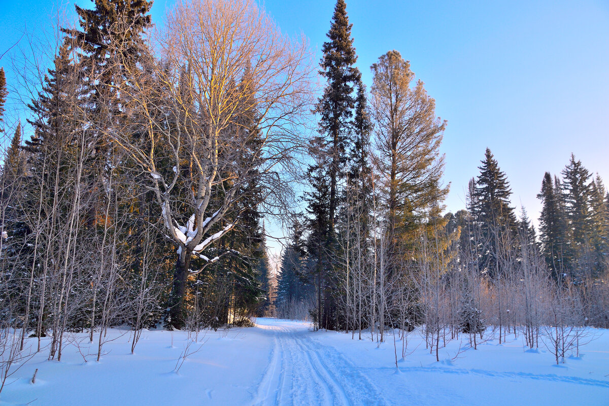 - - Владимир Мигонькин