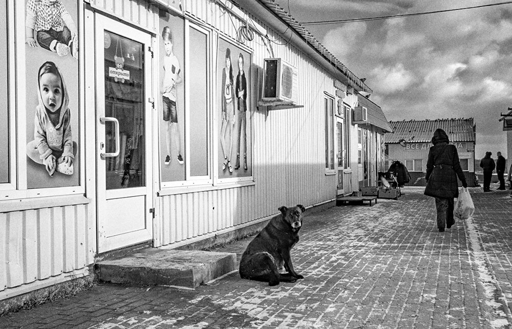 От жизни собачей... - Владимир Нефедов