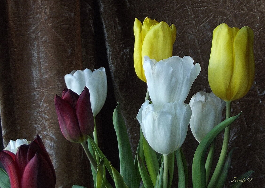 — Какие твои любимые цветы? — Розы, как это ни банально. Но в феврале я люблю тюльпаны. - Freddy 97