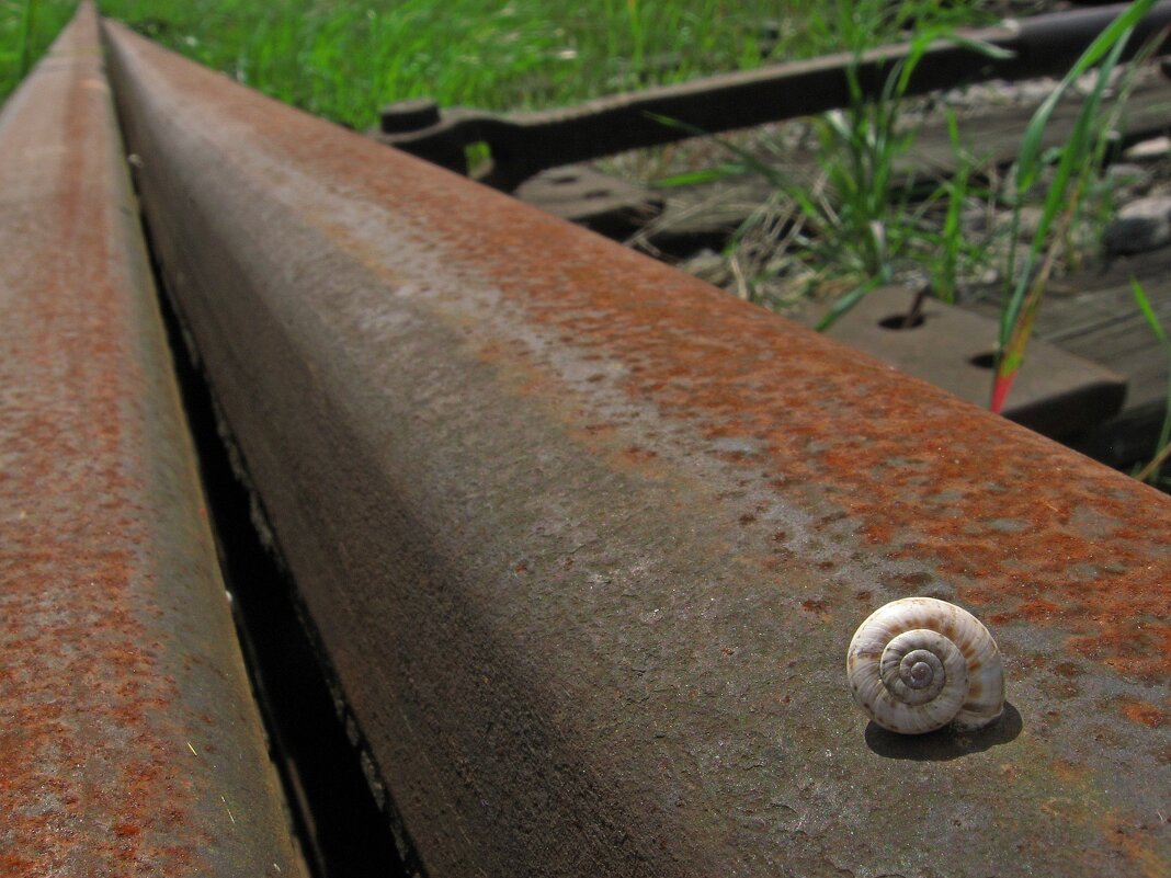 . - Александр Хоменко